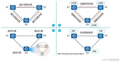 網(wǎng)絡(luò)工程師必備核心 深度解析OSPF協(xié)議及其在計(jì)算機(jī)網(wǎng)絡(luò)工程中的應(yīng)用