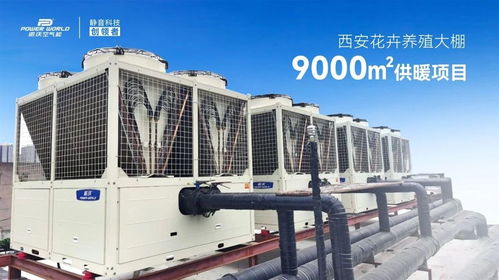 精品案例 派沃空氣能助力花卉養殖大棚9000㎡供暖項目，35臺超低溫熱泵護航冬日花開